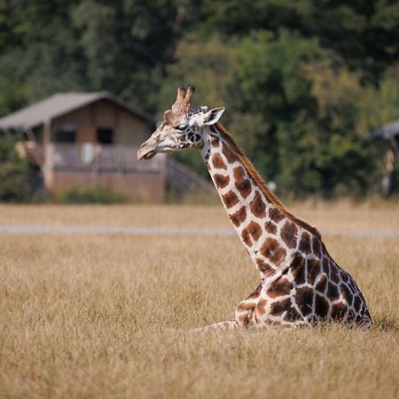 Hotel Knuthenborg Safaripark Maribo Zewnętrze zdjęcie