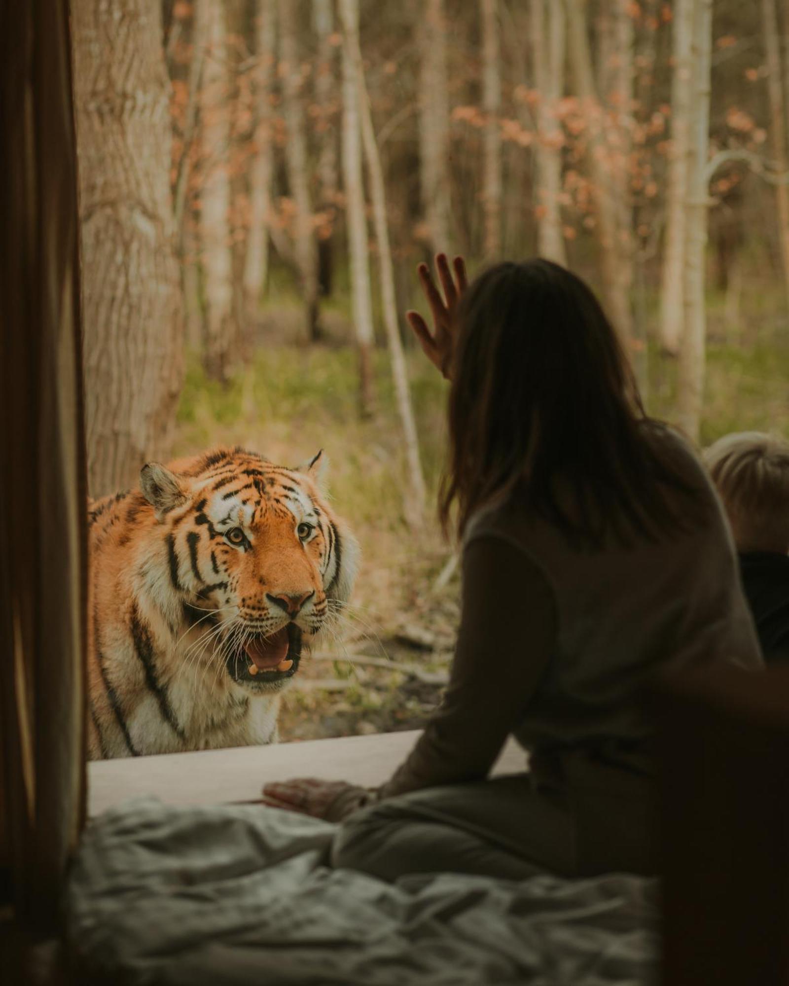 Hotel Knuthenborg Safaripark Maribo Zewnętrze zdjęcie