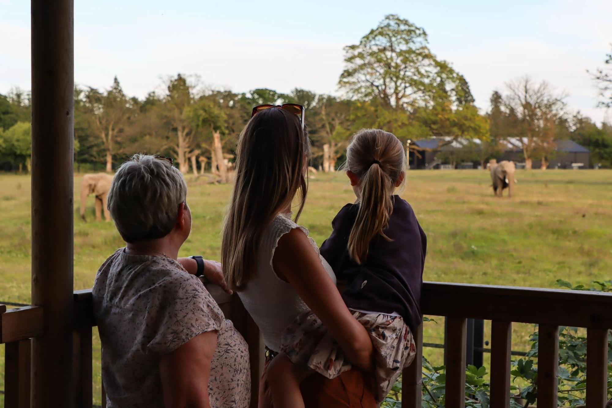 Hotel Knuthenborg Safaripark Maribo Zewnętrze zdjęcie