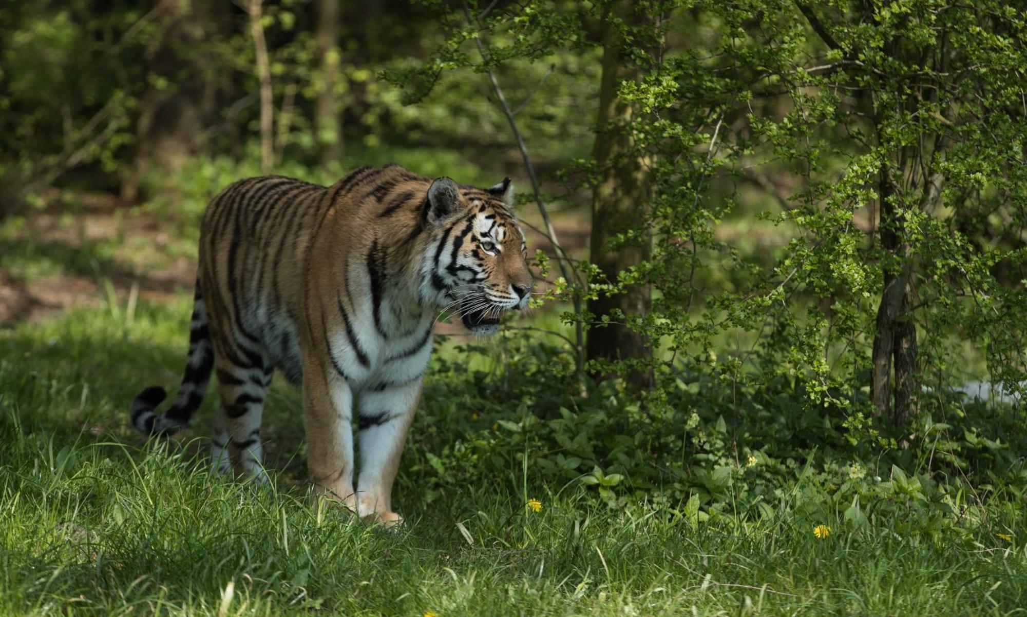 Hotel Knuthenborg Safaripark Maribo Zewnętrze zdjęcie