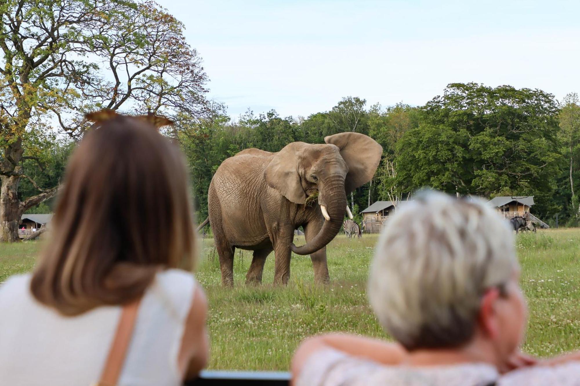 Hotel Knuthenborg Safaripark Maribo Zewnętrze zdjęcie