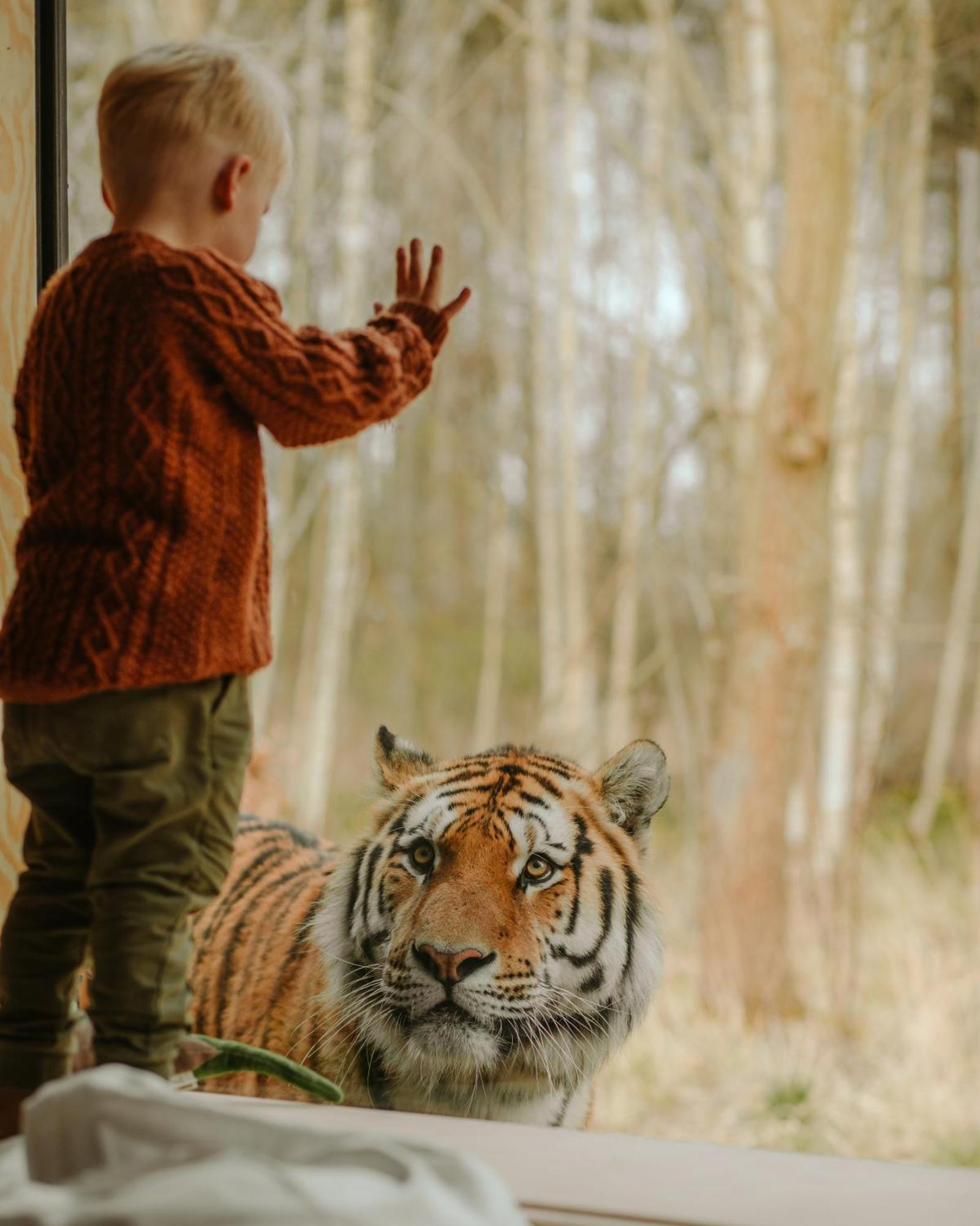 Hotel Knuthenborg Safaripark Maribo Zewnętrze zdjęcie