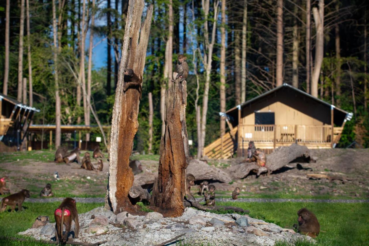 Hotel Knuthenborg Safaripark Maribo Zewnętrze zdjęcie