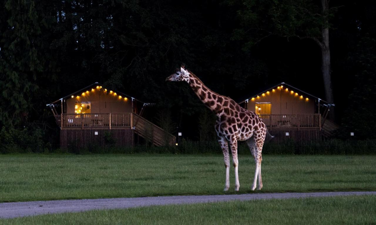 Hotel Knuthenborg Safaripark Maribo Zewnętrze zdjęcie