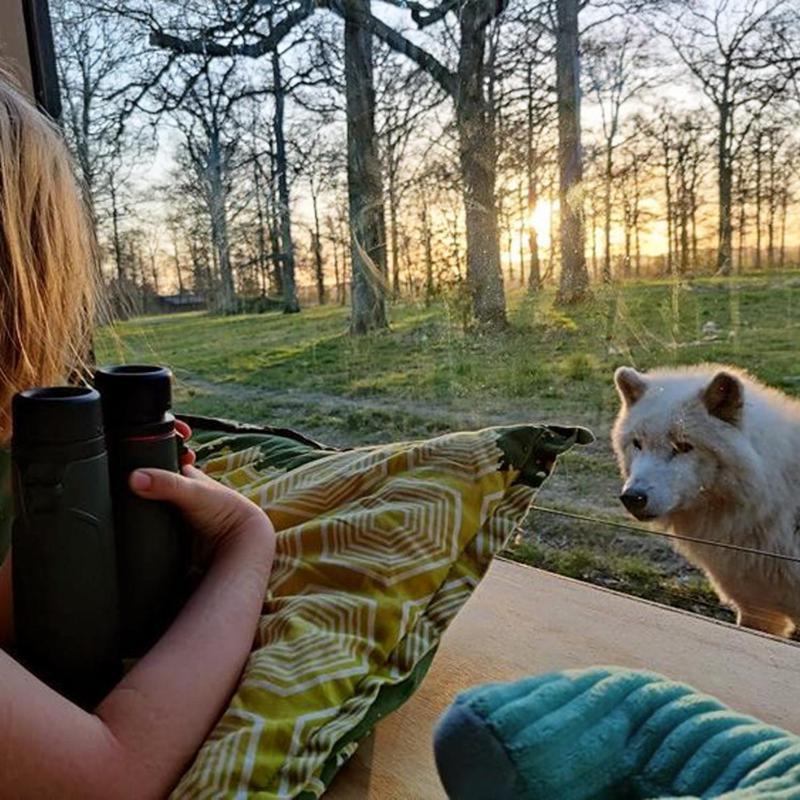 Hotel Knuthenborg Safaripark Maribo Zewnętrze zdjęcie