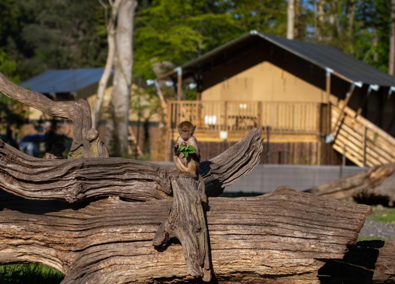 Hotel Knuthenborg Safaripark Maribo Zewnętrze zdjęcie