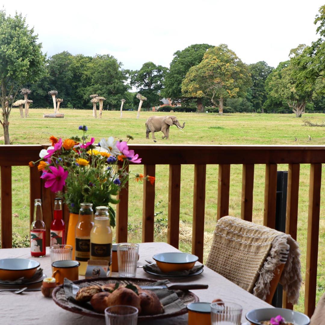 Hotel Knuthenborg Safaripark Maribo Zewnętrze zdjęcie